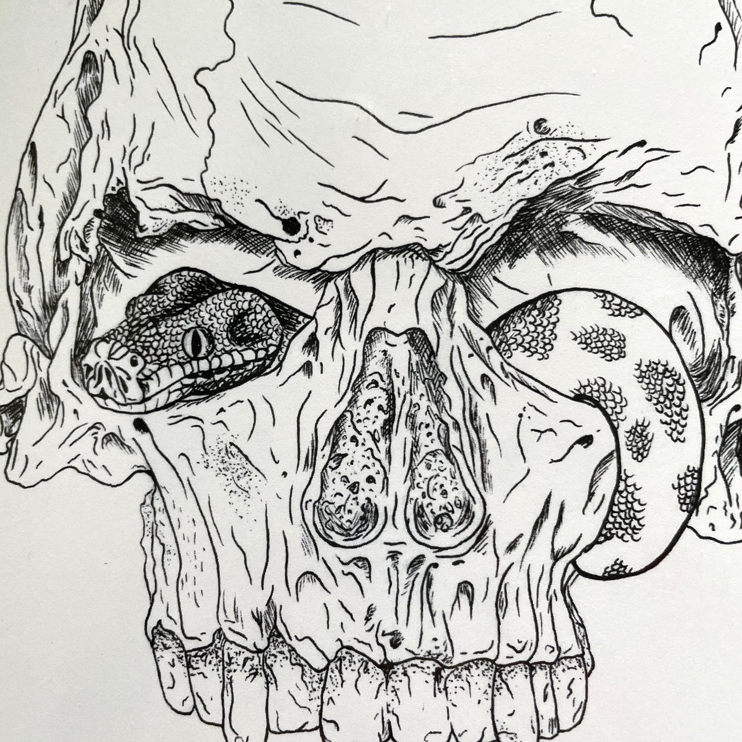 Close up of an art print drawing of a skull with a snake going in one eye and out the other. Featuring black pen line art and detailing.