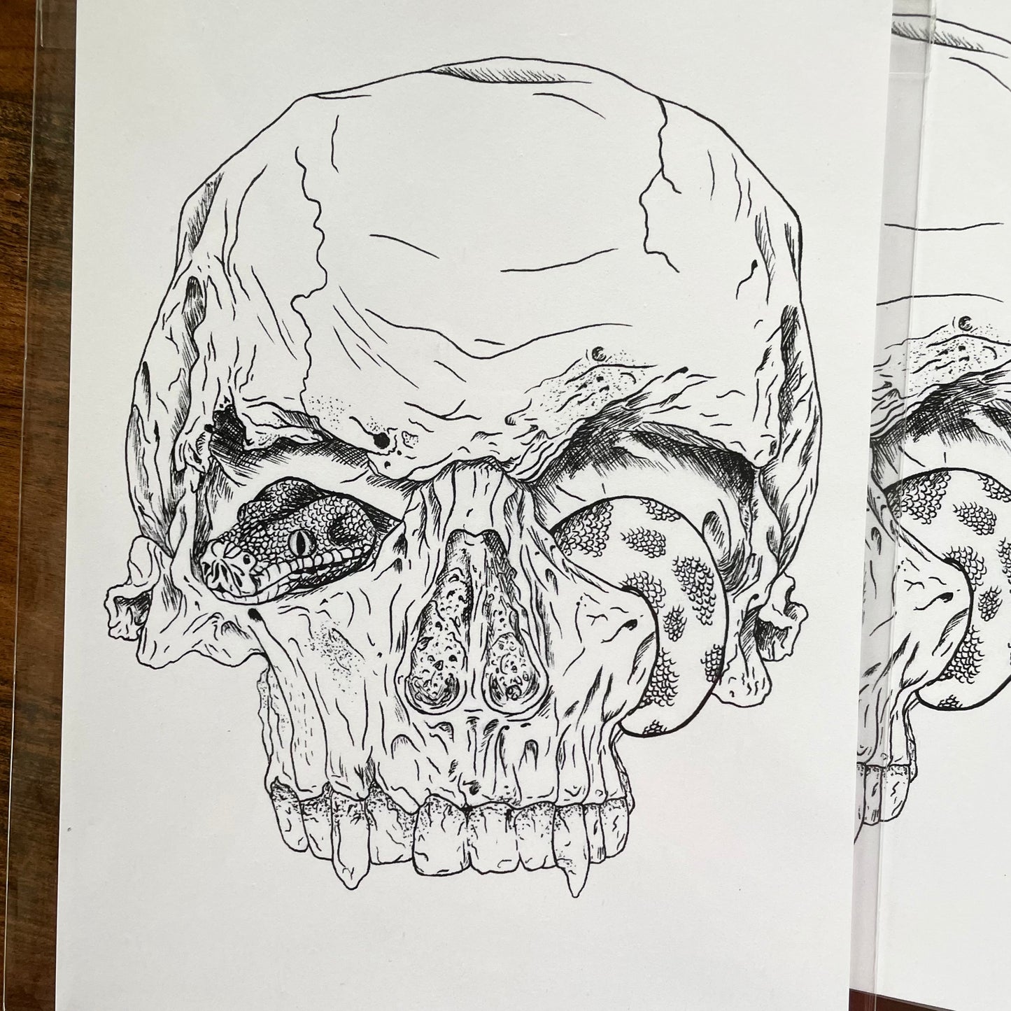 straight on photo of an art print drawing of a skull with a snake going in one eye and out the other. Featuring black pen line art and detailing.
