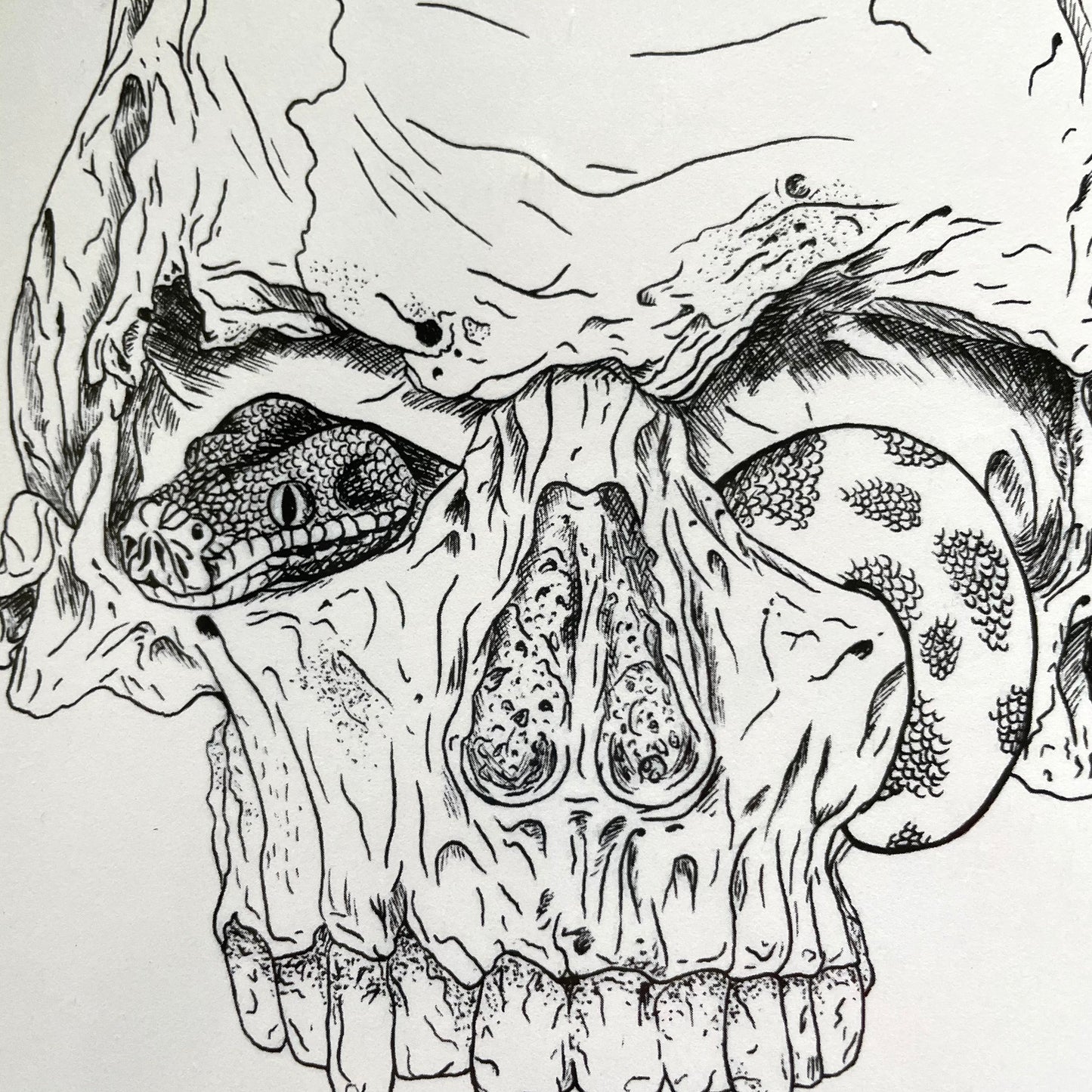 Skull and Snake Print