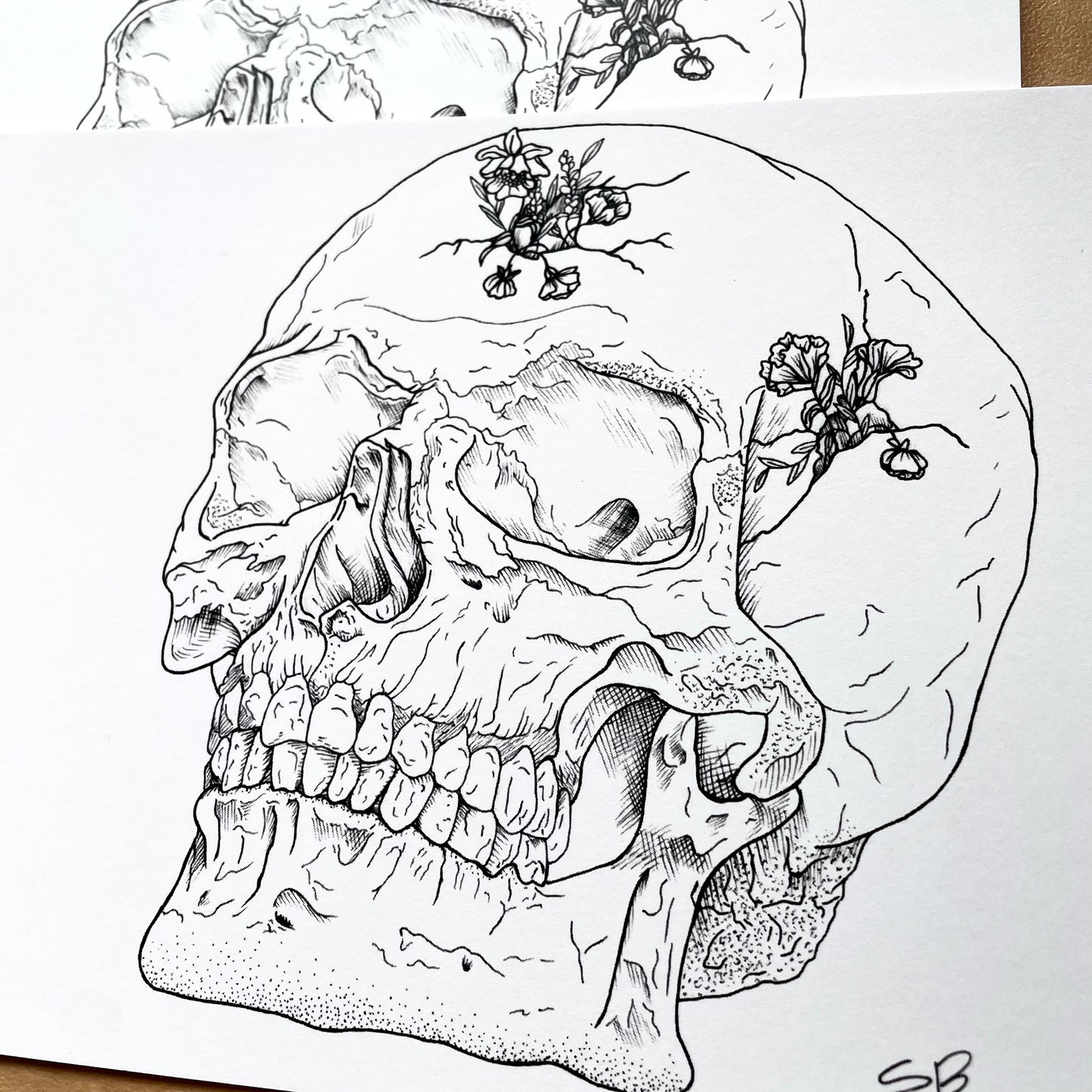 Photo of an ink drawing of a skull with cracks in it and flowers growing out of it.